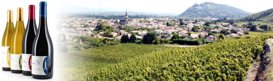 Les Côteaux, la Syrah